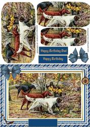 Lovely Gordon, Irish and English Setters ( Pyramarge )