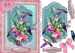 Beautiful Humming Birds on Flowers