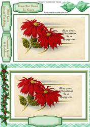 Lovely Red Christmas Poinsettias