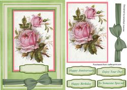 Beautiful Pink Cabbbage Roses