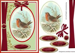 Beautiful Winter Robin Singing