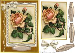 Lvely Coffee Rose on a Lace and Gold Mat