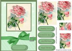 Beautiful Pink Roses on Green