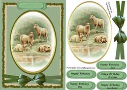 Beautiful Sheep at Pasture