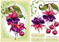 Beautiful Fushia Pea