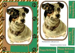 Lovely Fox Hound .