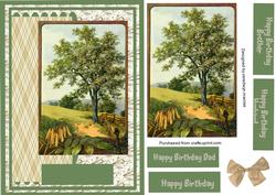 Lovely Country Trees Scene 