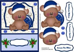 Lovely Little Bear in Santa Hat