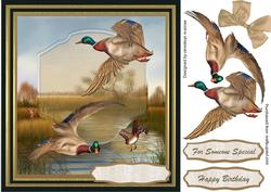 Mallards in the Tall Reeds .