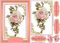 Beautiful Pale Pink Rose .