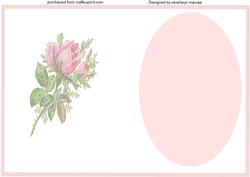 Lovely Pink Rose Incert