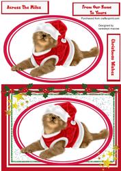 Cute Cat in a Santa Suit