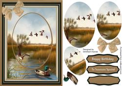 Lovely Pyramsrge Mallard Ducks