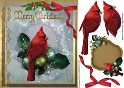 Beautiful Red Cardinal at Christmas
