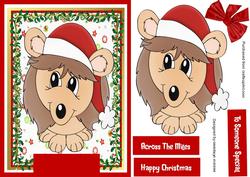 Little Hedgehog in Santa Hat