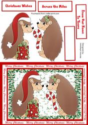 Mr & Mrs Hedgehog