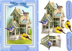 Lovely Birds in the Nest House 