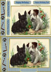 Two Cute Dogs Watching the Frog