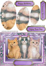 Cute Cats ( Pyramid )