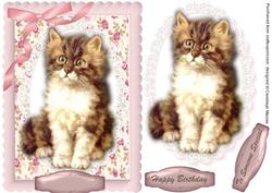 Lovely Fluffy Kitten on Lace Oval 