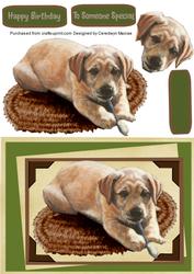 Lovely Labradore Pupp