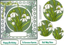 Beautiful Spring Nodding Snowdrops, Pyramid