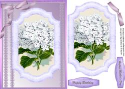 Lovely White Hydranger in Lilac Frame 