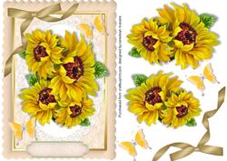 Lovely Sunflowers and Butterflys 