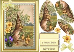 Lovely Rabbit and the Chicks