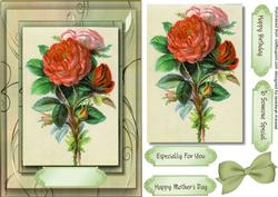 Beautiful Roses for the Love of Your Life