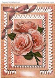 Beautiful Apricot Roses on a Double Lace Frame