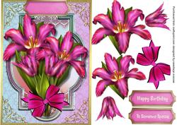 Beautiful Deep Pink Tulips