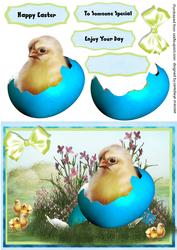 Lovely Easter Chick in the Shell