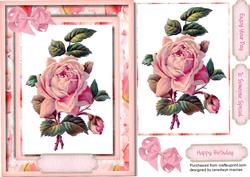 Beautiful Soft Pink Rose