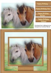 Two Beautiful Horses