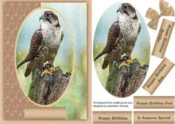 Beautiful Falcon on a Log 