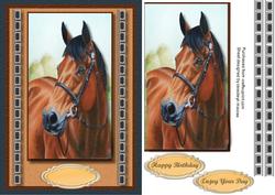 Beautiful Chestnut Thougherbred