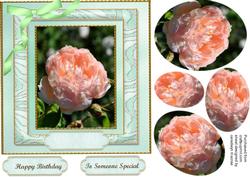 Lovely Pyramaid Roses