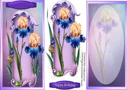 D.l Lovely Blue and Apricot Irises with Incert