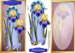 D,l Lovely Blue and Yellow Irises with Incert