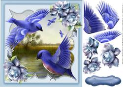 Lovely Bluebirds of Happines