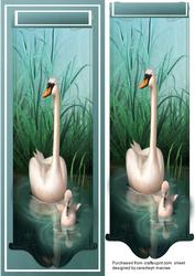 Lovely Swan and Cygnet in the Reeds 