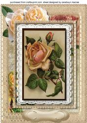 A4 Lovely Vintage Cream Roses and Lace