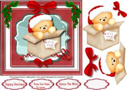 Lovely Christmas Ted in a Box