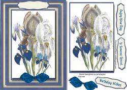 A5 Lovely White and Blue Irises
