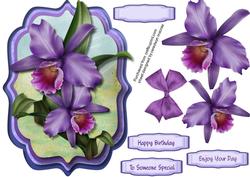 Stunning Lilac Orchids in a Bracket Frame 