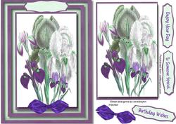 Beautiful Irises on Green and Lilac