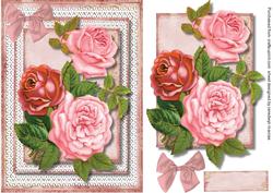 Beautiful Roses on Double Lace Frame