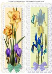 Large D.l. with Irises and Daffodills 