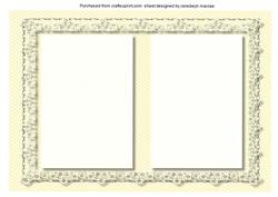 Lovely Incert in Lemon and Lace